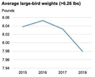 Average large bird weights in the US