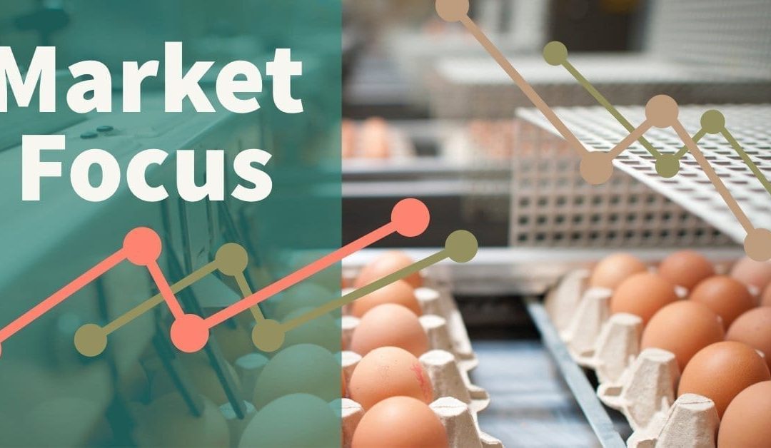 Analysis: The current state of the UK egg market