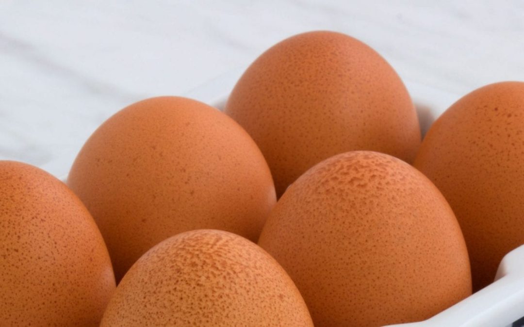 Precautionary advice issued over batch of Lion eggs