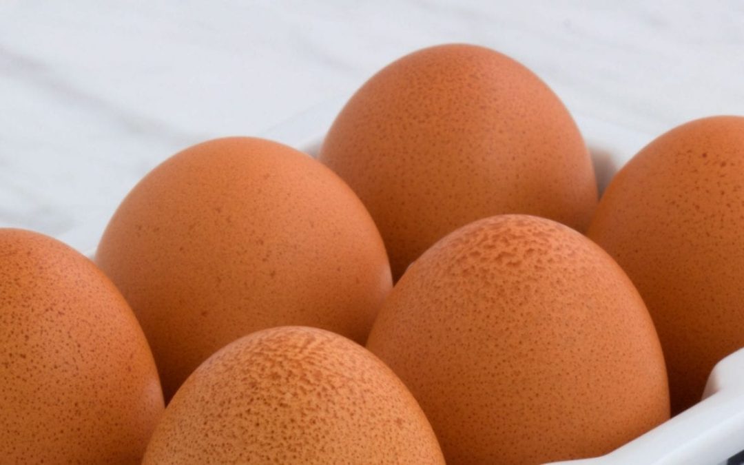 FSA issues salmonella alert over Polish poultrymeat and eggs