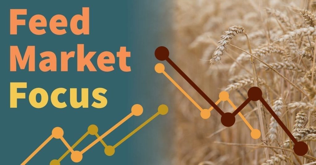 Graphic displaying feed market focus
