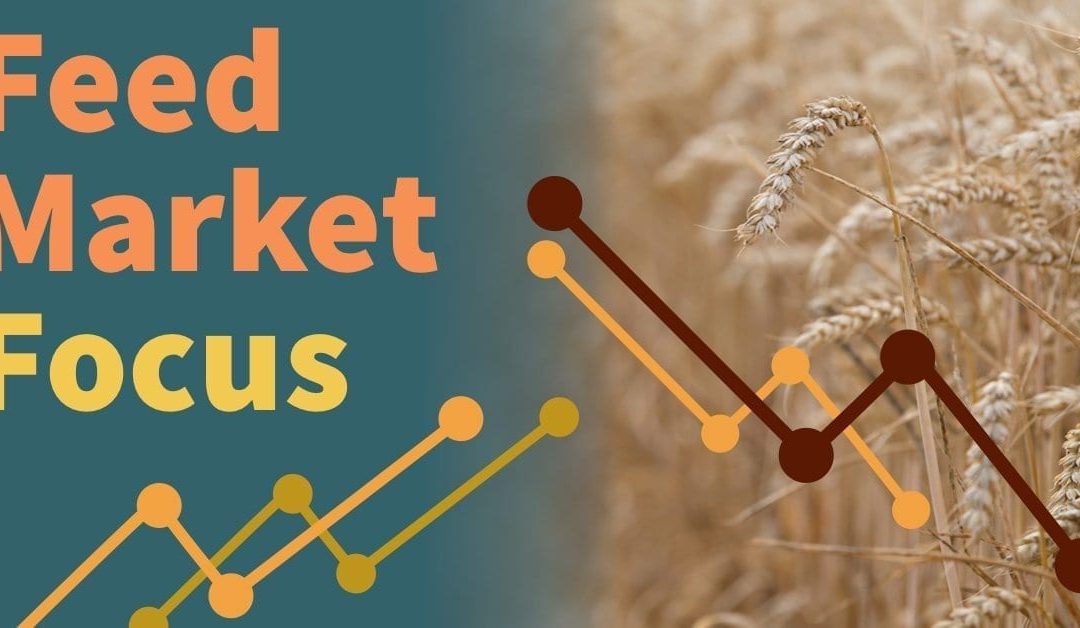 Wheat drops but soya lifts in price this month