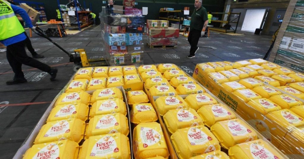 Picture of happy eggs in warehouse
