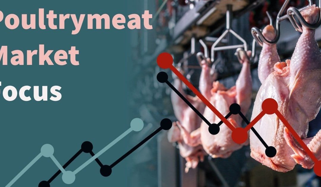 graphic of chicken meat