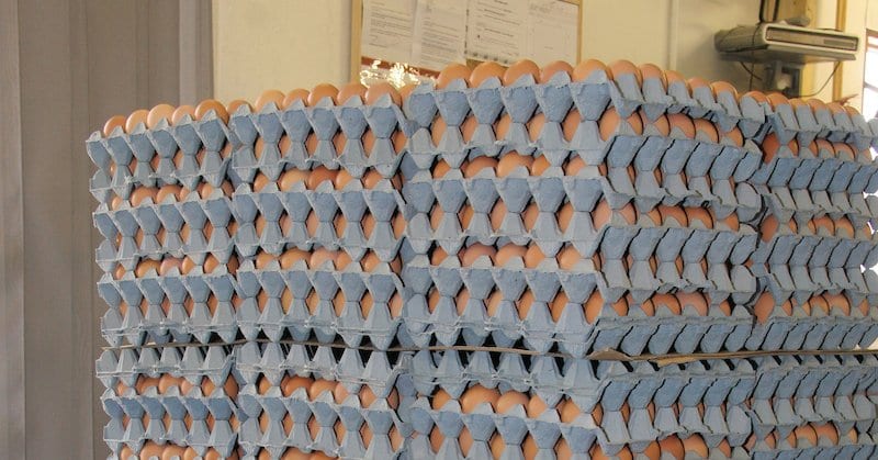 Eggs Stacked On A Pallet.