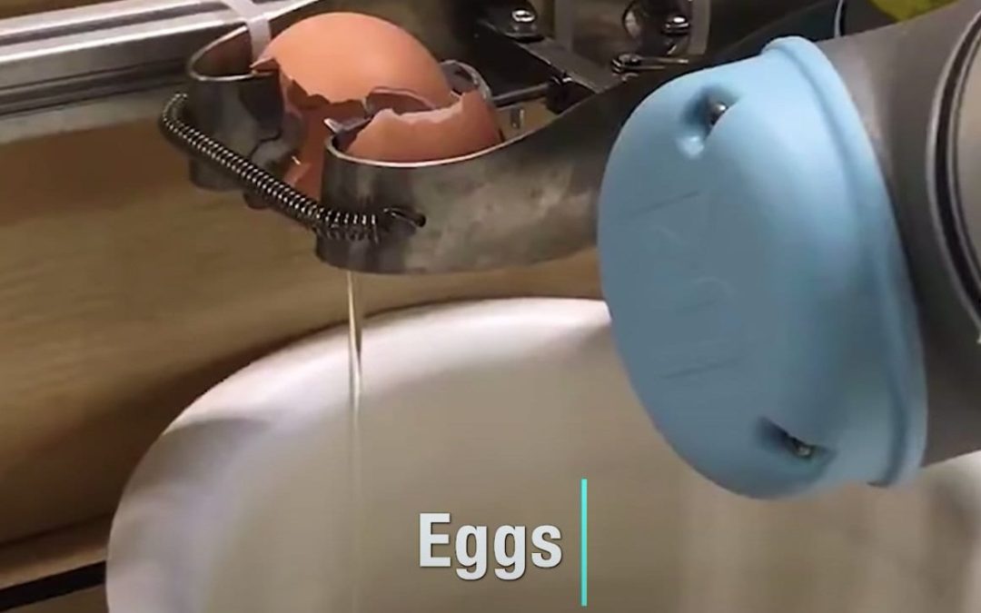 Robot chef makes omelette from scratch