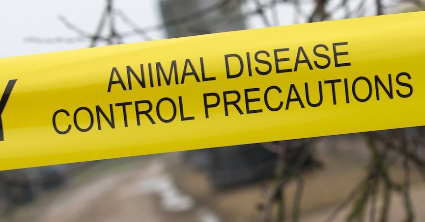 tape saying animal disease control precautions