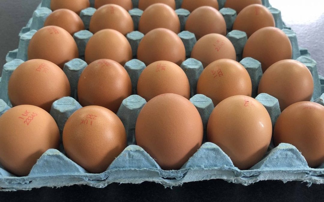 Waitrose moves to mixed weight egg sales