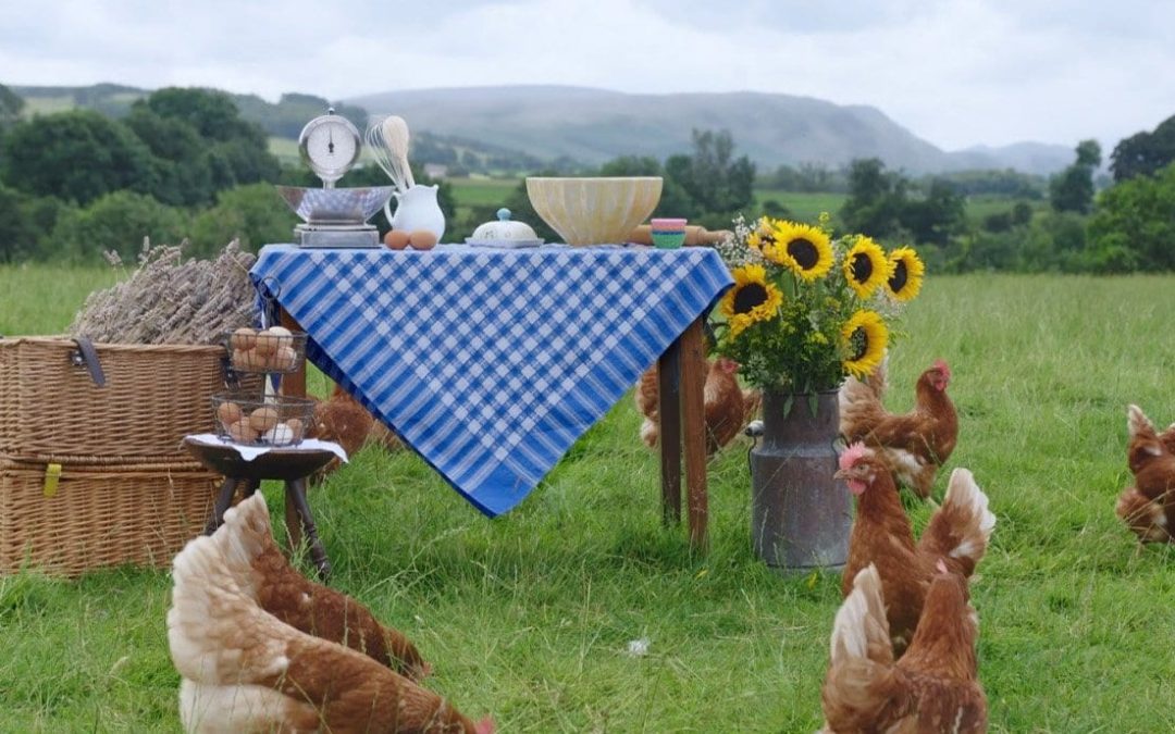Watch: RSPCA ad will encourage bakers to use assured eggs