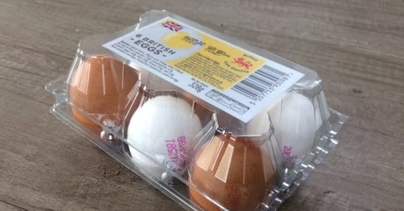mixed brown and white eggs
