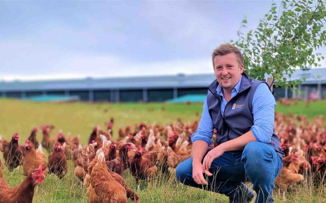 Henry Gibb with chickens