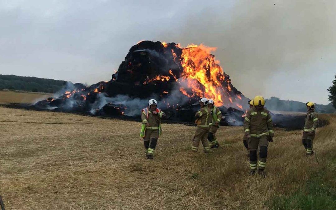 Farm fire hits poultry bedding firm stock