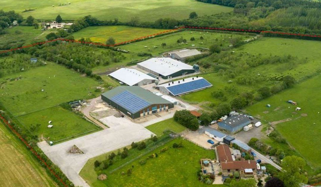Higher Buckland Farm from above
