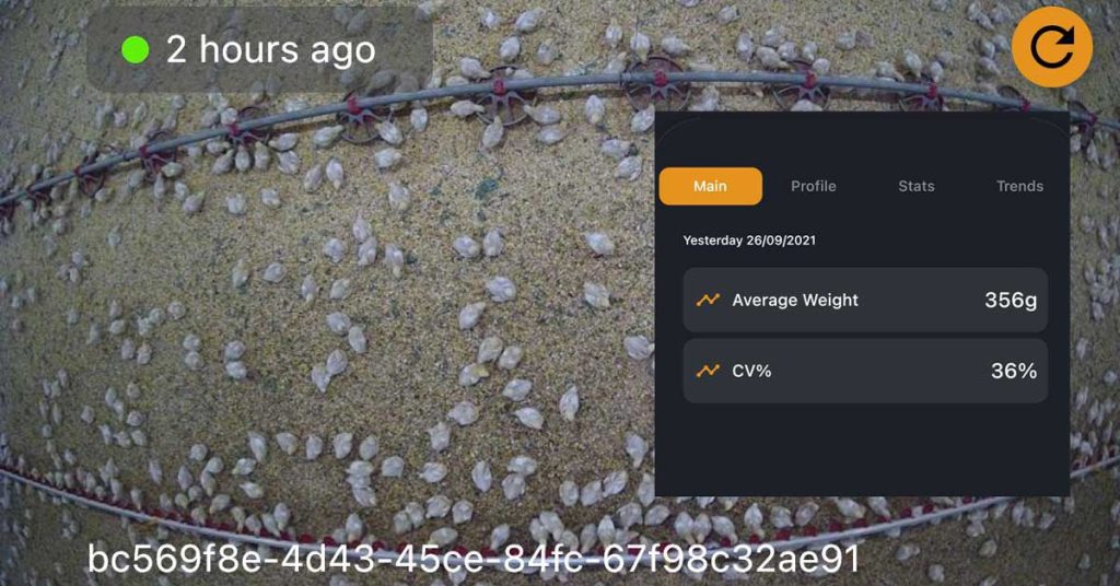 A screenshot of the Pondus Technologuy
