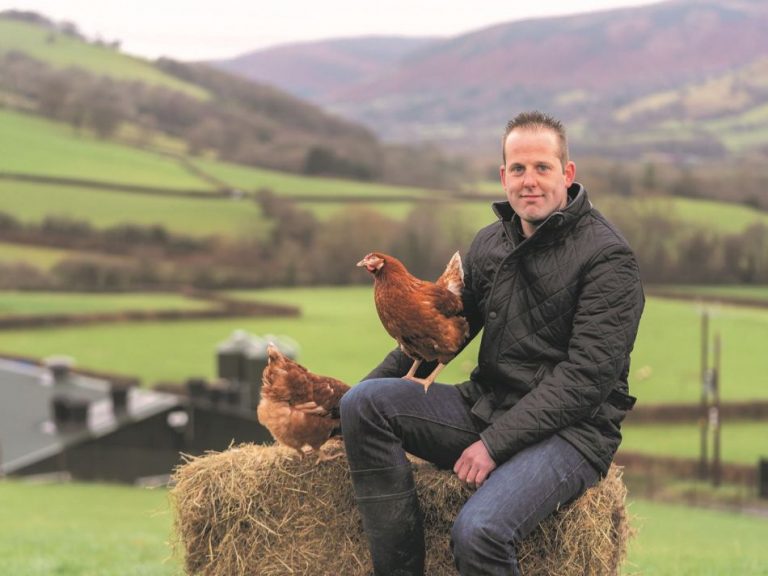 Lidl brings forward cage-free egg commitment