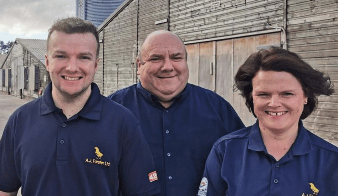 How AJ Forster turned around its poultry farm performance