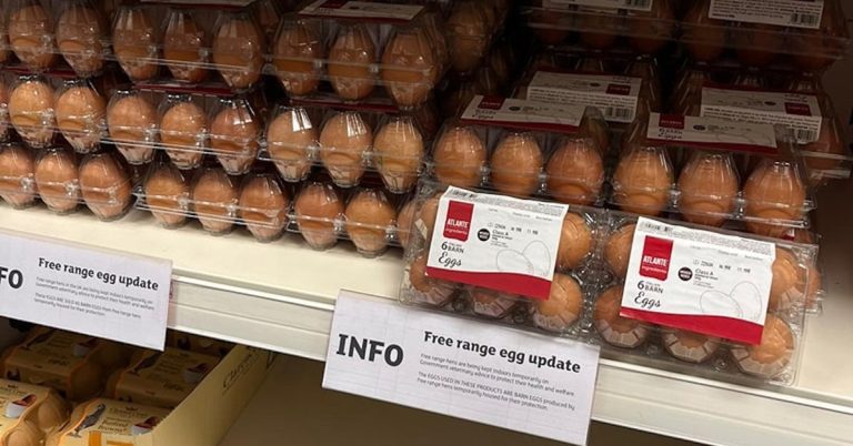 Sainsbury’s slammed for stocking Italian barn egg again