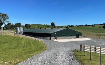 How Unitas Software helps a leading egg producer be more efficient and sustainable