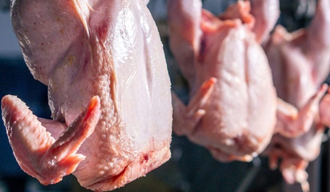 UK ‘rebalances’ poultrymeat trade with Brazil