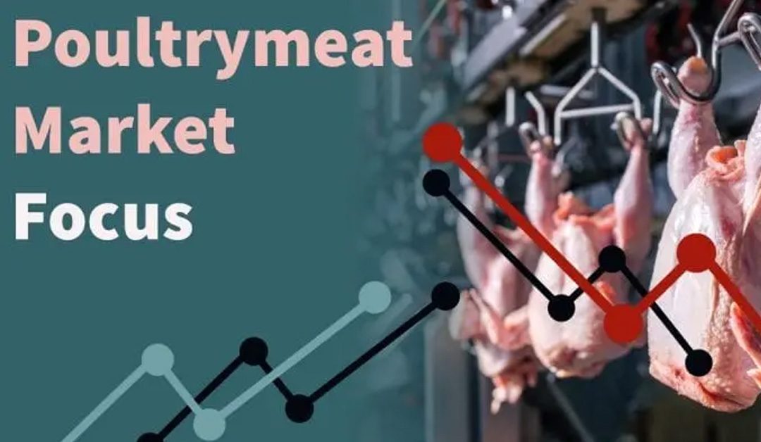Defra figures reveal record poultrymeat imports last year