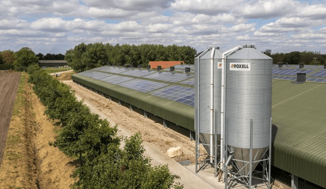 Opinion: ‘The move to net-zero will dominate the rest of my career’