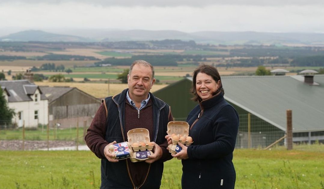 Lidl to incentivise investment in new egg farms