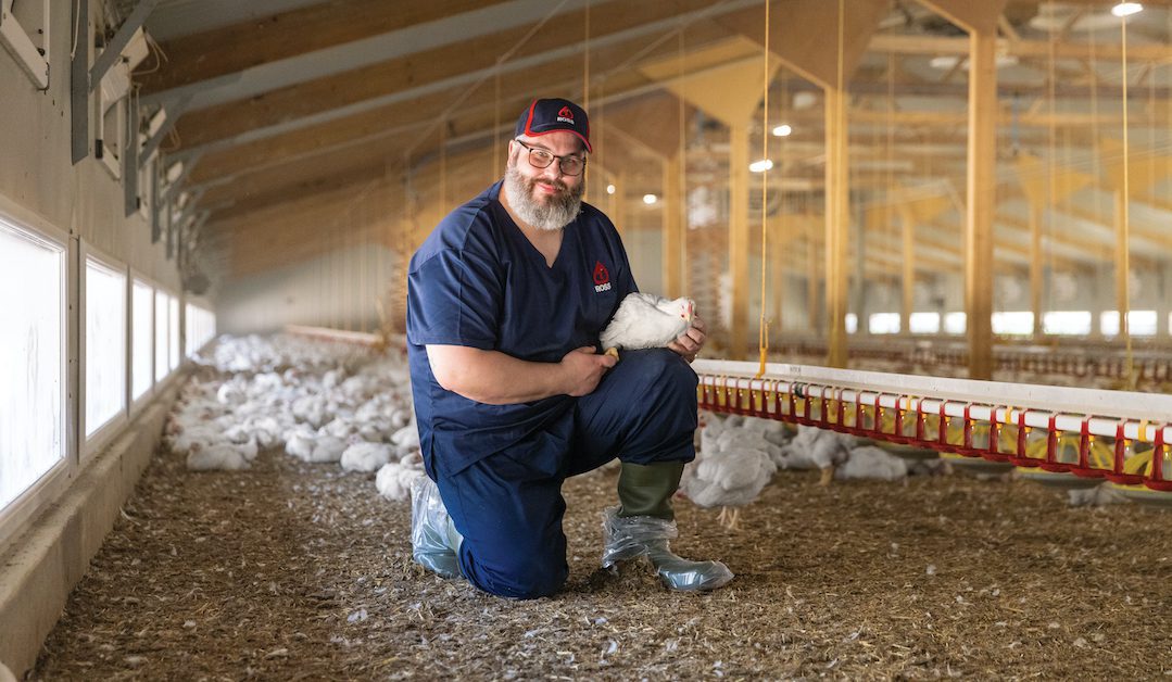 3 top tips for improving broiler performance