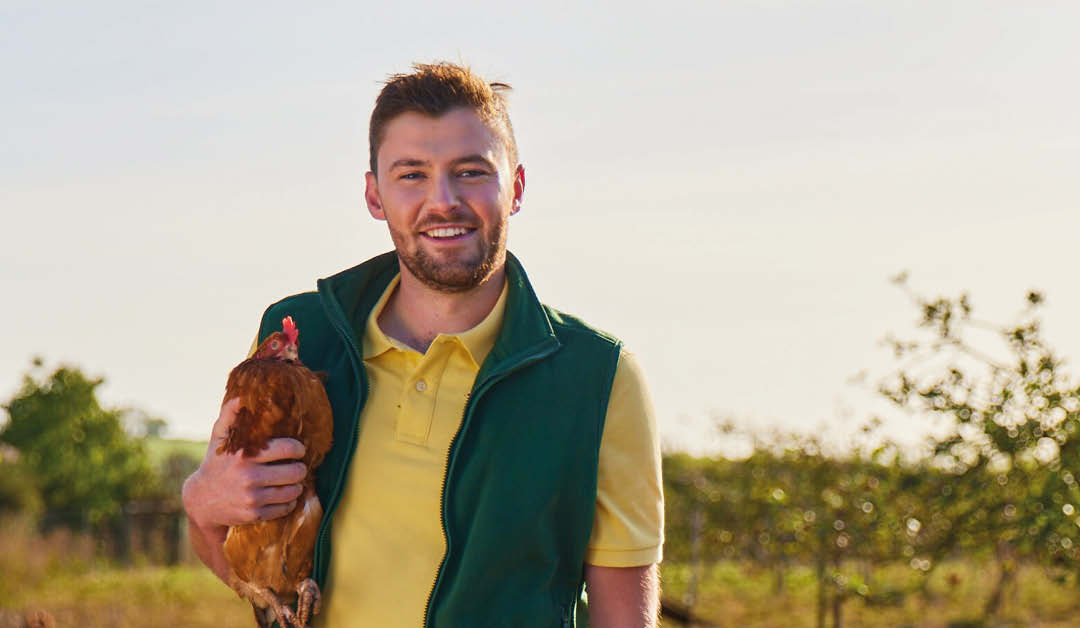 Free-range egg producer relieved to re-stock after bird flu
